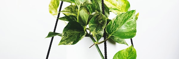 意甲联赛AC米兰与国际米兰比赛场景